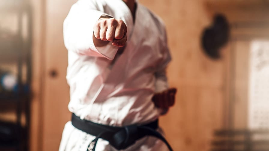 Anteprima di Karate Adulti*