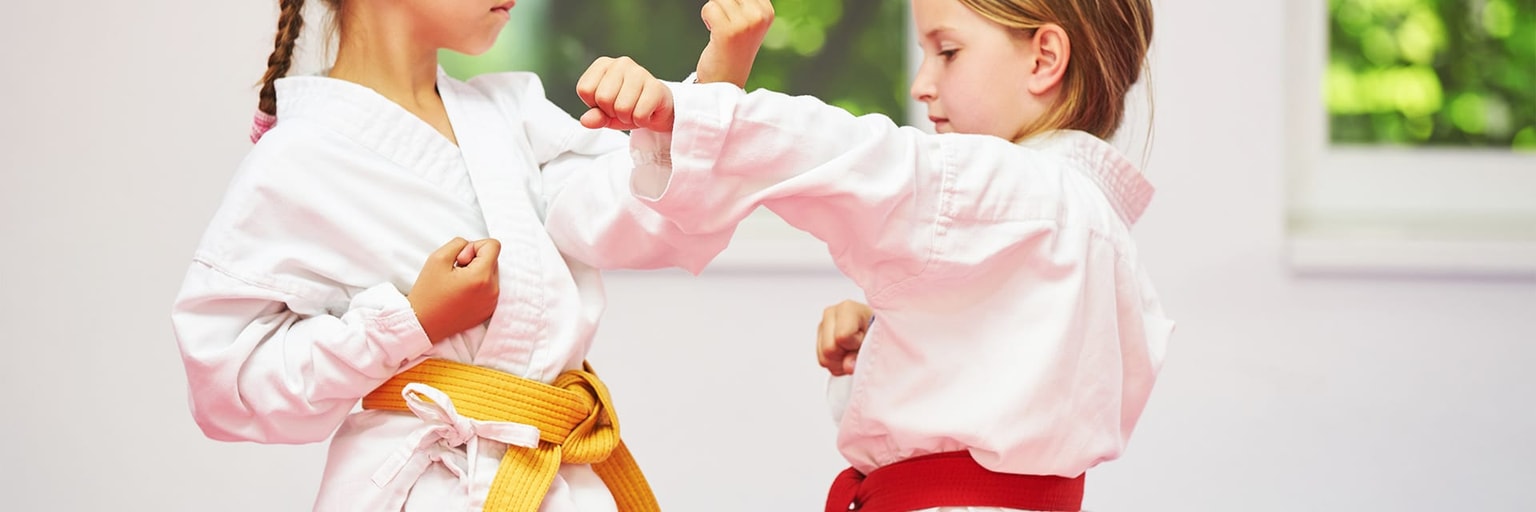 Immagine anteprima di Karate Bimbi*