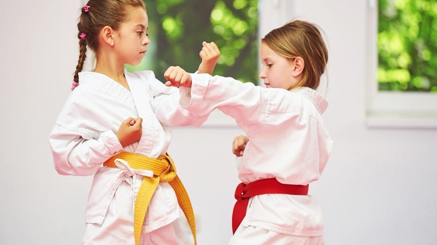 Anteprima di Karate Bimbi*