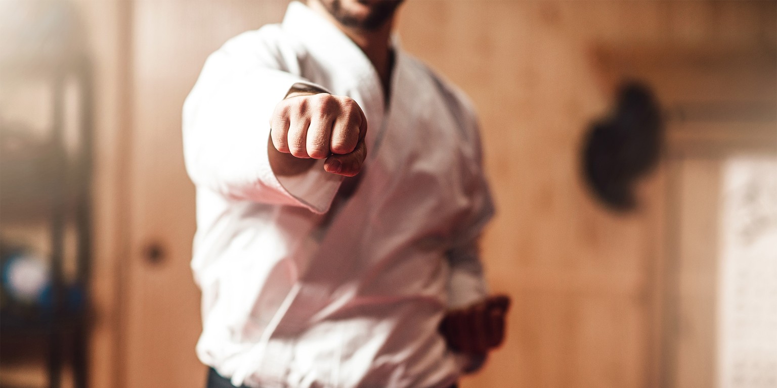 Immagine antriprima di Lezioni di karate