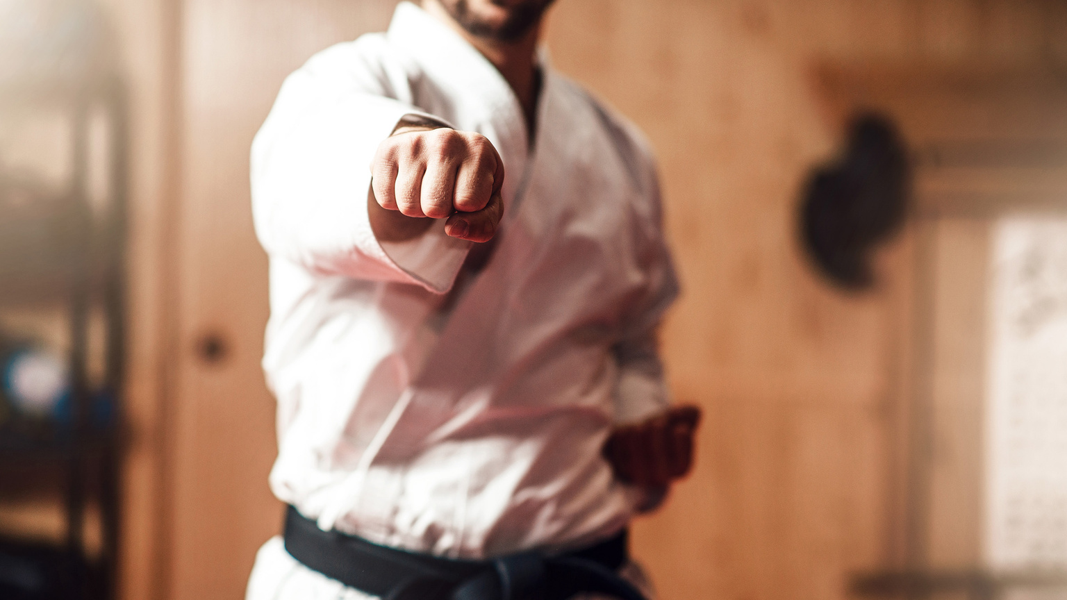 Foto lezione di karate con adulti